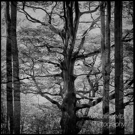 _XE32417_L copy1