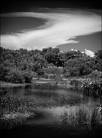 _XE10627_bw_sh_proof_pr