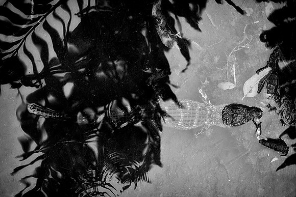 _XP18662_bw_sh_proof