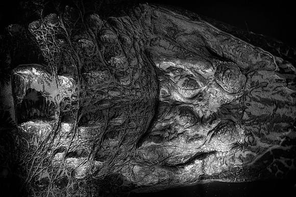 _XP18960_bw_sh_proof
