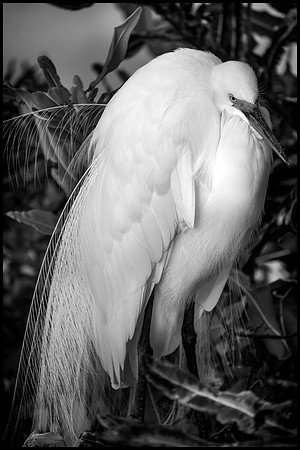 _XP19392_bw_sh_proof_sh_pr