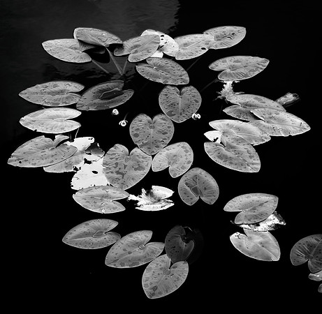 wakoda_Panorama7_15_21_bw_layered