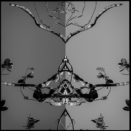 merritt isle mandala2_L2