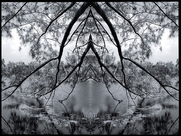 apoxee mandala1_L
