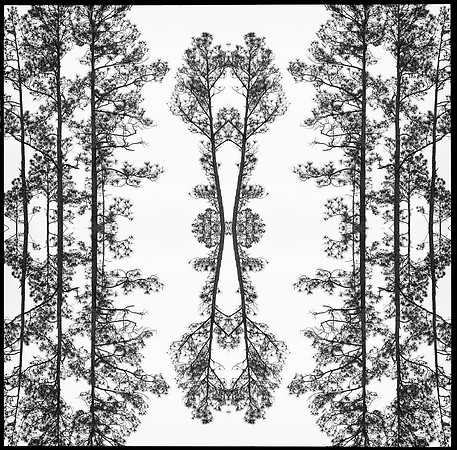 salt springs mandala 32_L copy