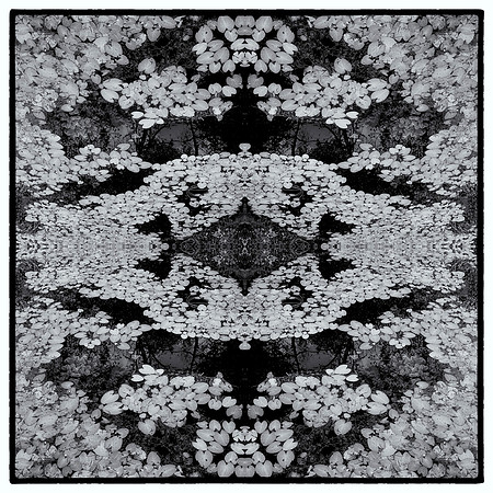 Woven