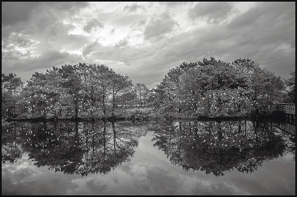Eyes of Reflection