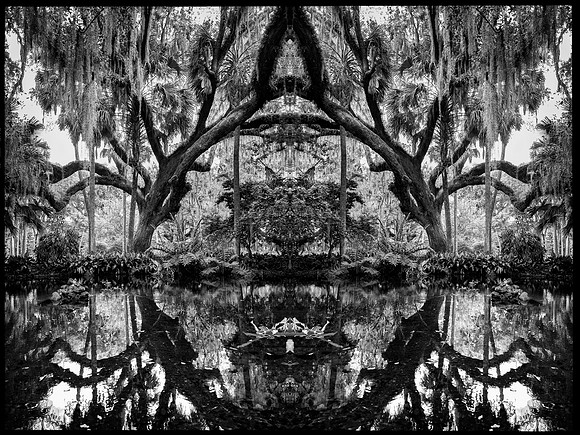 washington oaks mirror2