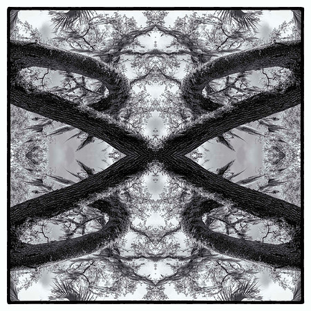 salt springs mirror 4