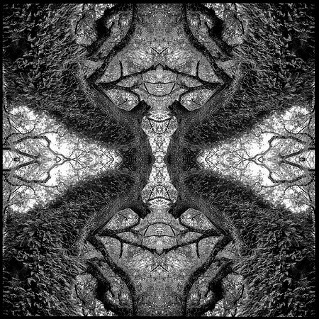 indian lake  mandala3 bw