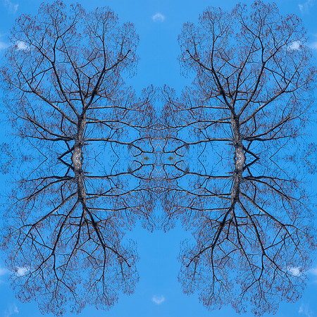 indian lake  mandala1 copy