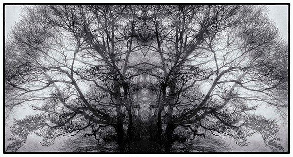 blue ridge mandala 3 bw_sh_sel