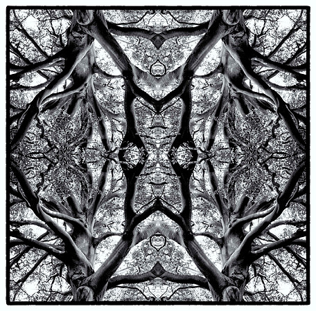 ysp mandela3_L bw_sh_sel
