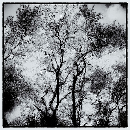 _X304273_sh_sel_1