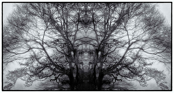 blue ridge mandala 3 bw_sh_sel