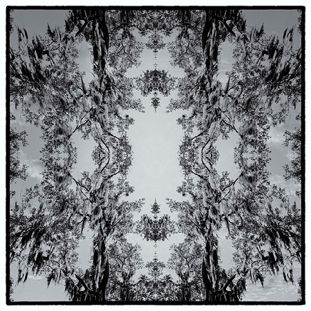 blue springs mandala 9_sh_sel