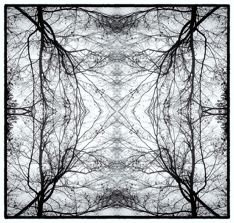 blue ridge mandala 1_sh_sel_1