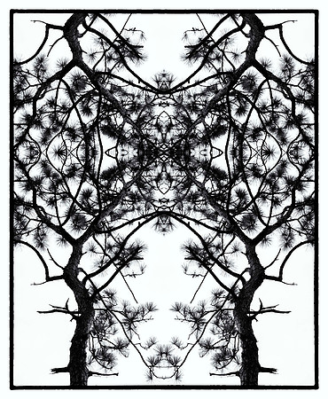 crooked river mirror_L_sh_sel