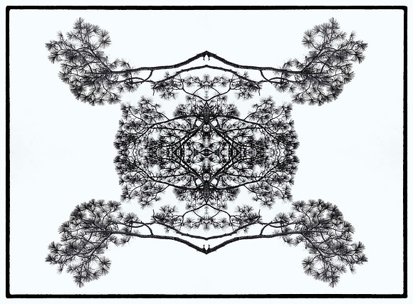 crooked river mirror_L3_sh_sel_1