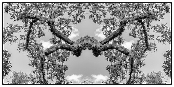 highland hammock mirror 1_sh_sel