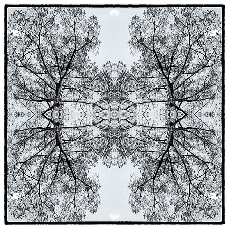 indian lake  mandala1 bw_sh_sel