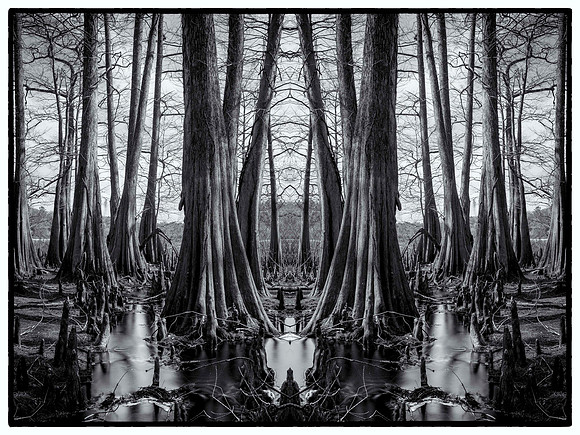 indian lake  mandala8 bw_sh_sel_3