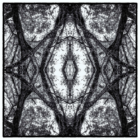 okee5_L bw_sh_sel_1