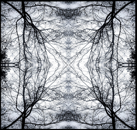 blue ridge mandala 1_L copy
