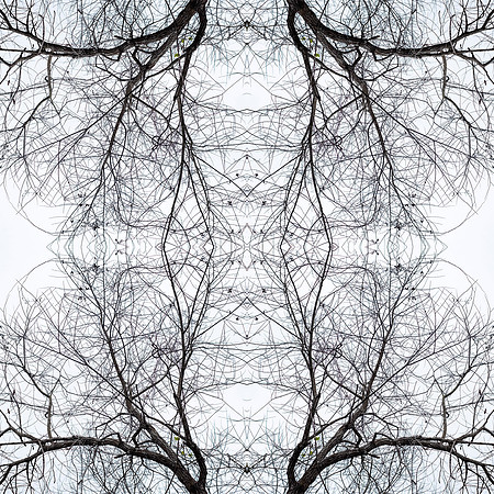 indian lake  mandala4 copy