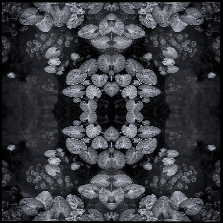big cypress mandela8_sh copy