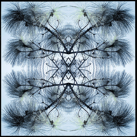 morikami mandala1_L copy
