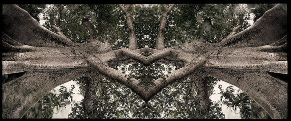 pb tree_L2 copy