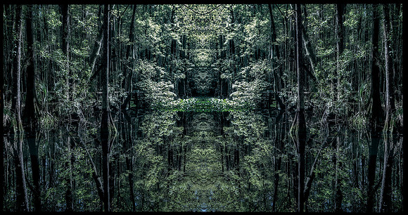 highland hammock mirror1_L copy
