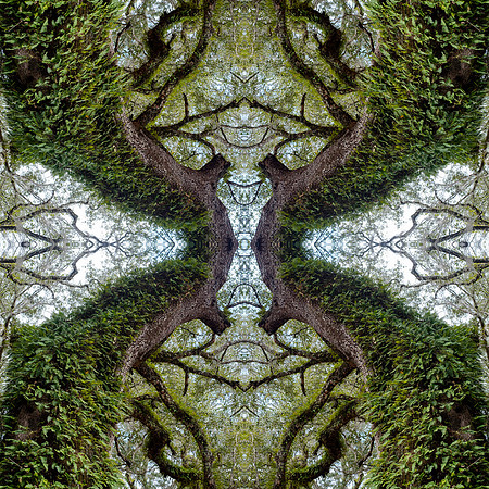 indian lake  mandala3 copy