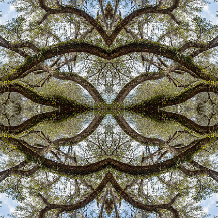 indian lake  mandala5 copy