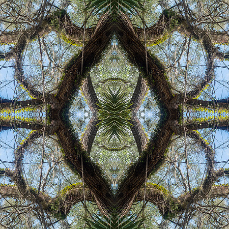 indian lake  mandala7 copy