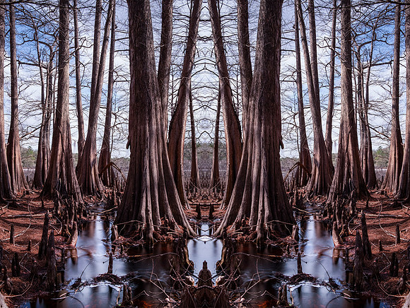 indian lake  mandala8 copy