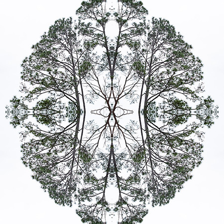 indian lake  mandala10 copy