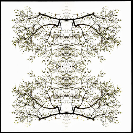indian lake  mandala14 copy