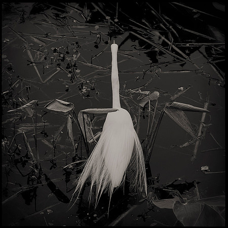 DSCF9163_L