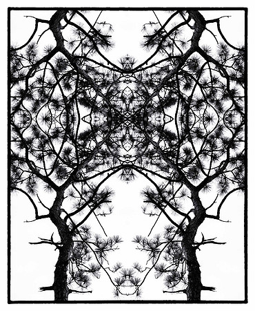 crooked river mirror_L_sh_sel